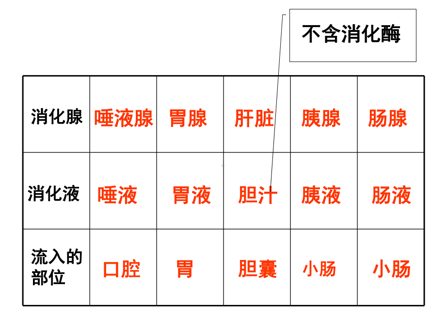 人体新陈代谢课件.ppt_第3页