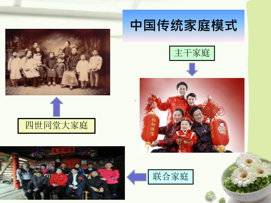 人口政策调整解读课件.ppt_第3页