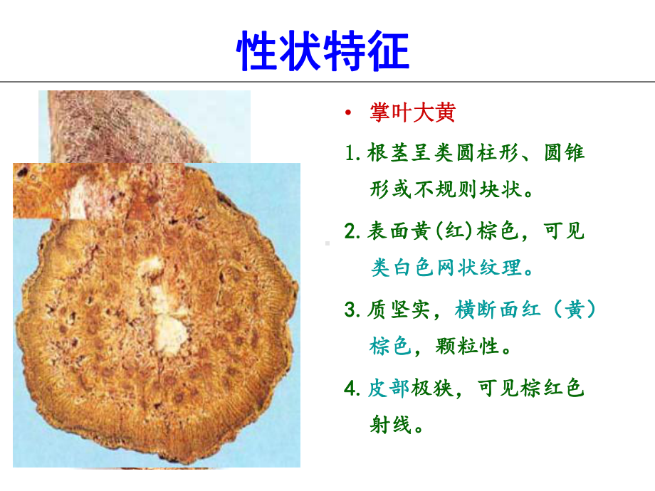 大黄 Rhei Radix et Rhizoma共87张幻灯片.ppt_第3页