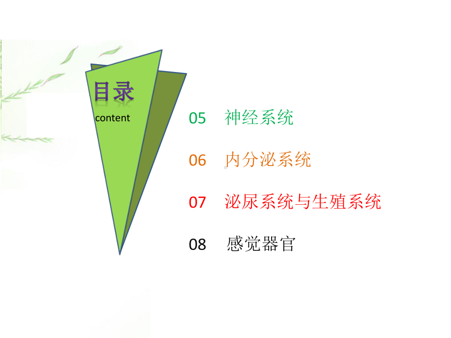 学前儿童身体发育及保育课件.pptx_第2页