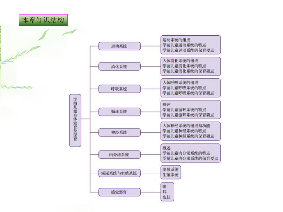 学前儿童身体发育及保育课件.pptx_第3页