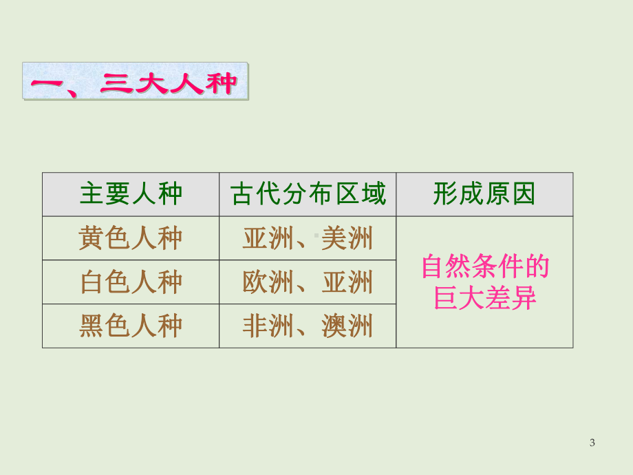 人种和人口全面版课件.ppt_第3页