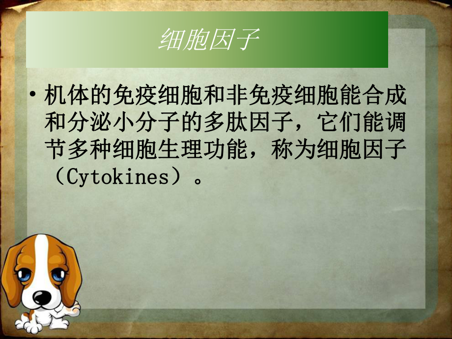 促红细胞生成素概要课件.ppt_第3页