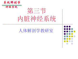 人体解剖学内脏神经课件.ppt