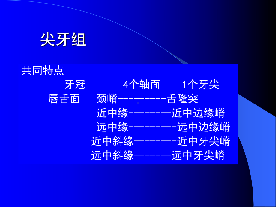 口腔解剖生理学课件03.pptx_第2页