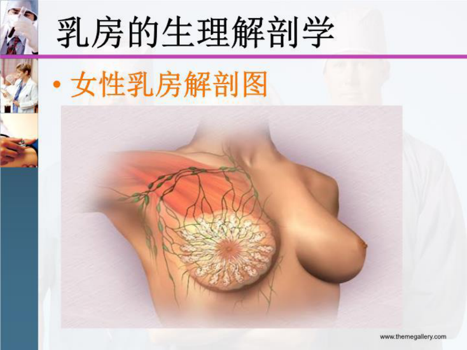 乳腺疾病科普知识-PPT课件.ppt_第3页