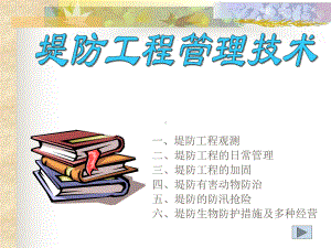 堤防工程管理技术精品课件.ppt