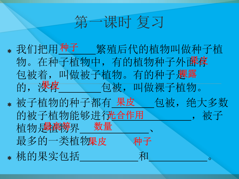 地面上的植物PPT课件6-苏科版优秀课件.ppt_第1页