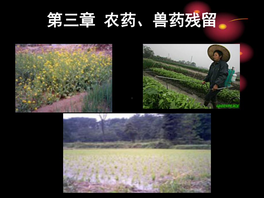 农药兽药课件.ppt_第1页