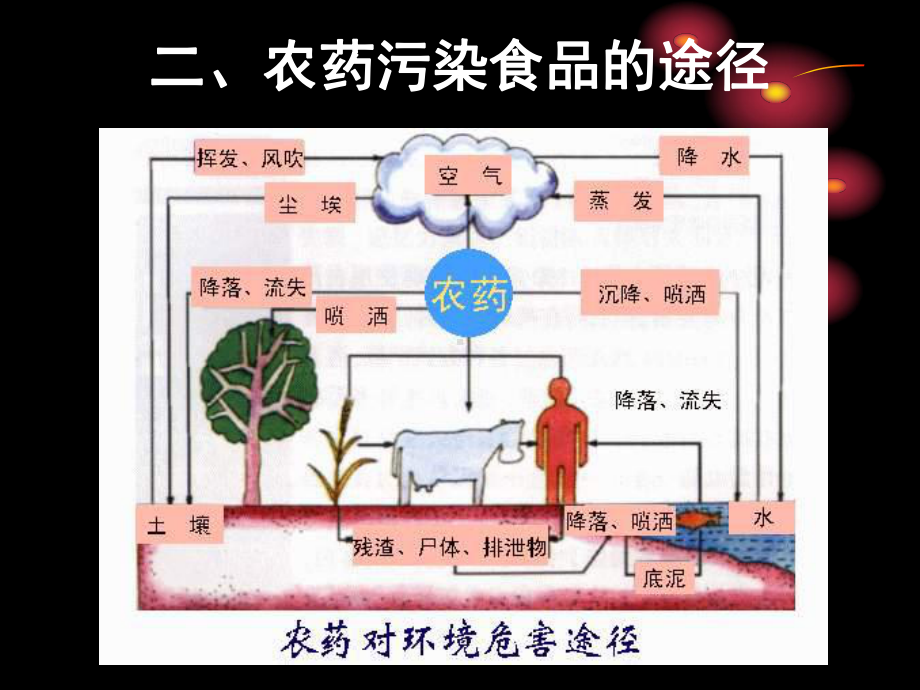 农药兽药课件.ppt_第3页