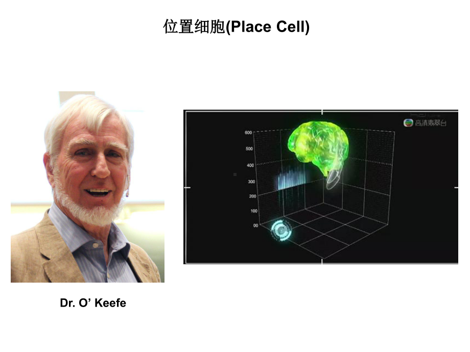 北大环境污染与脑健康第五讲课件.ppt_第3页