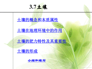 土壤PPT教学课件.ppt