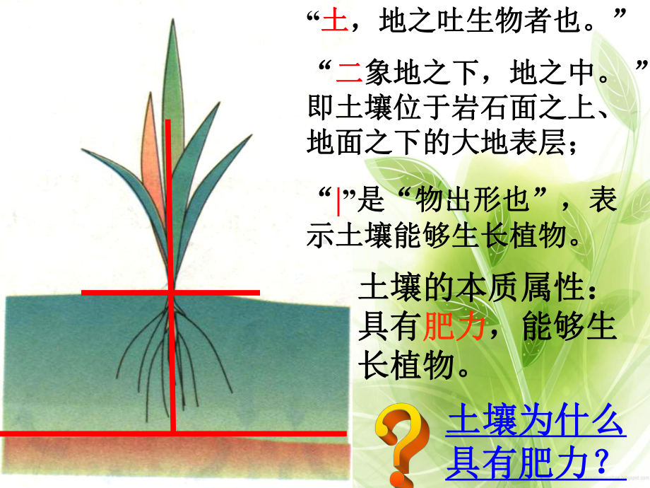 土壤PPT教学课件.ppt_第2页