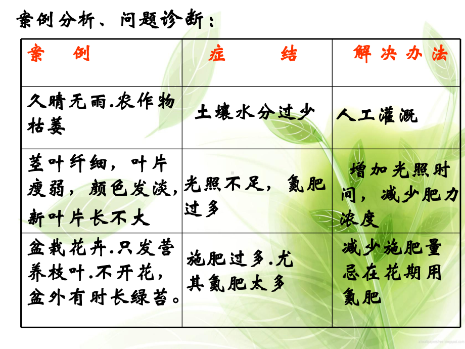 土壤PPT教学课件.ppt_第3页