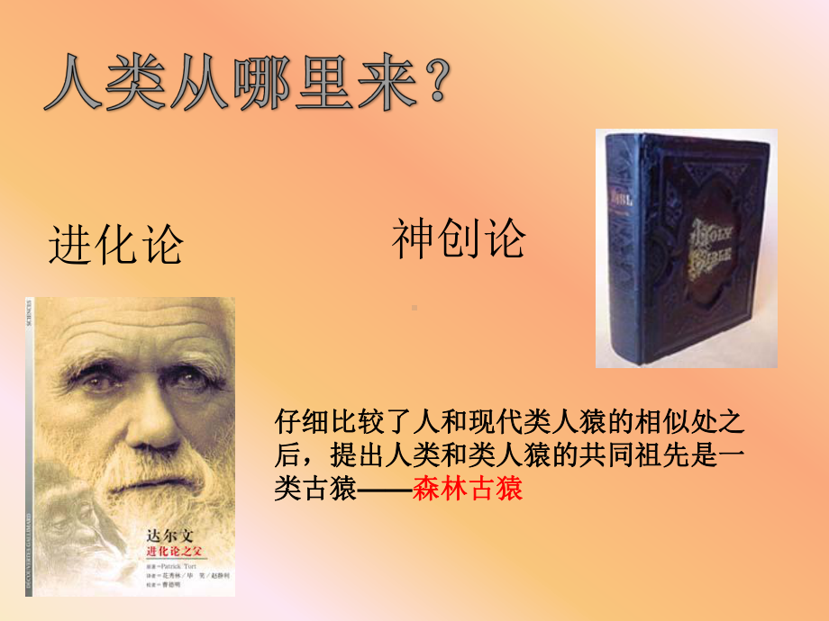 人类的起源和发展ppt14-人教版课件.ppt_第2页