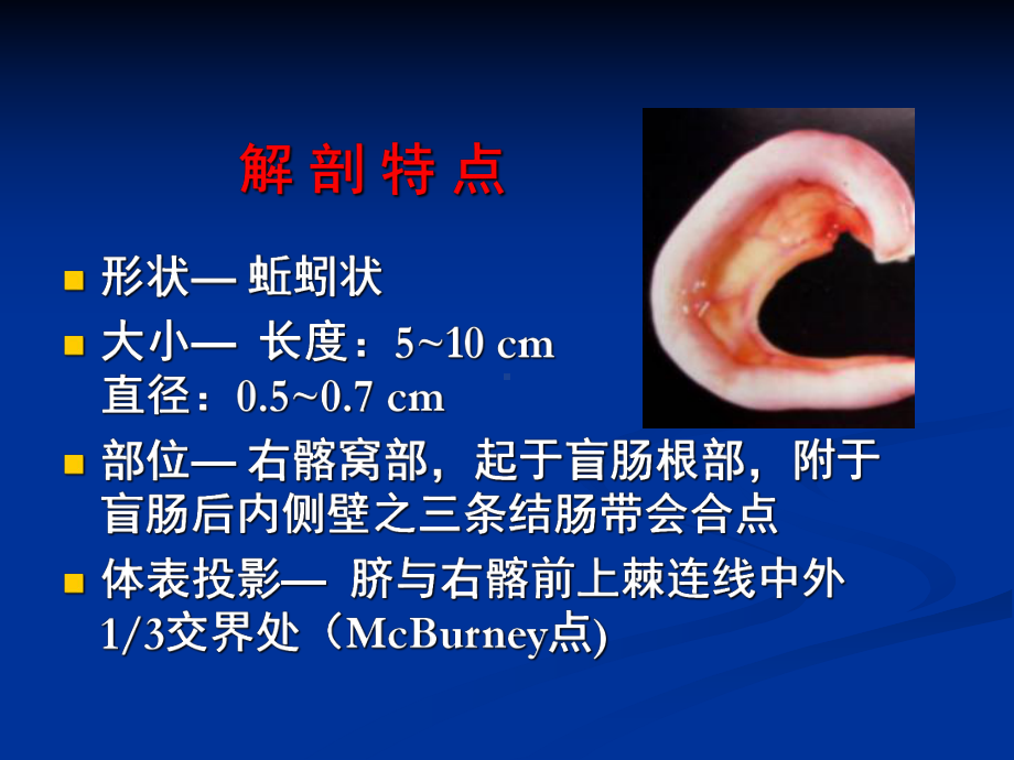 外科PPT课件8.阑尾疾病(ppt).ppt_第3页