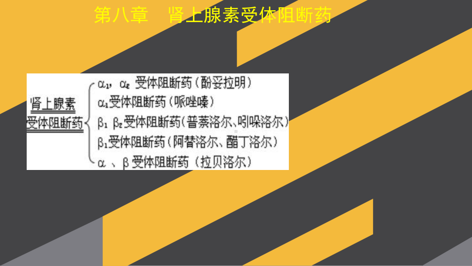 卫生职称药学士98866(专业知识题库讲解)课件.ppt_第2页