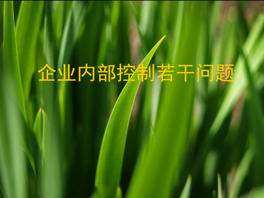 企业内控若干问题课件.ppt_第1页