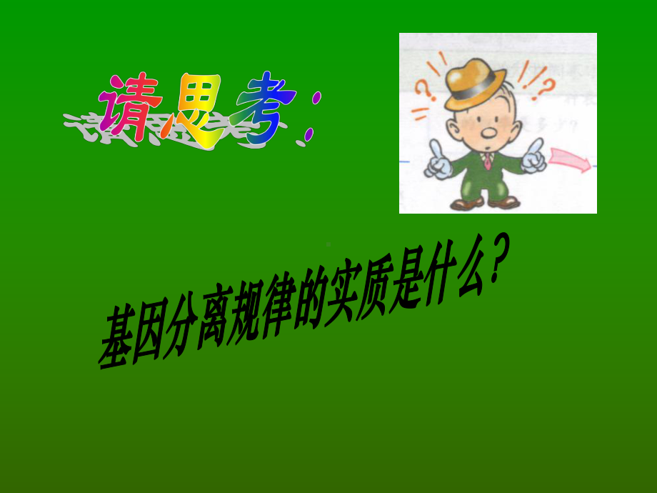 基因的自由组合规律课件.ppt_第2页