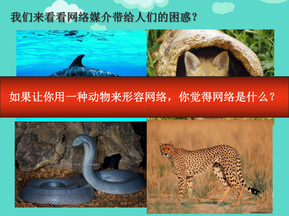 交互式营销沟通ppt(实用)课件.ppt_第2页