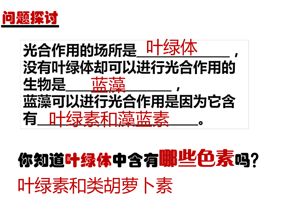 叶绿体中色素的提取与分离课件.pptx_第2页