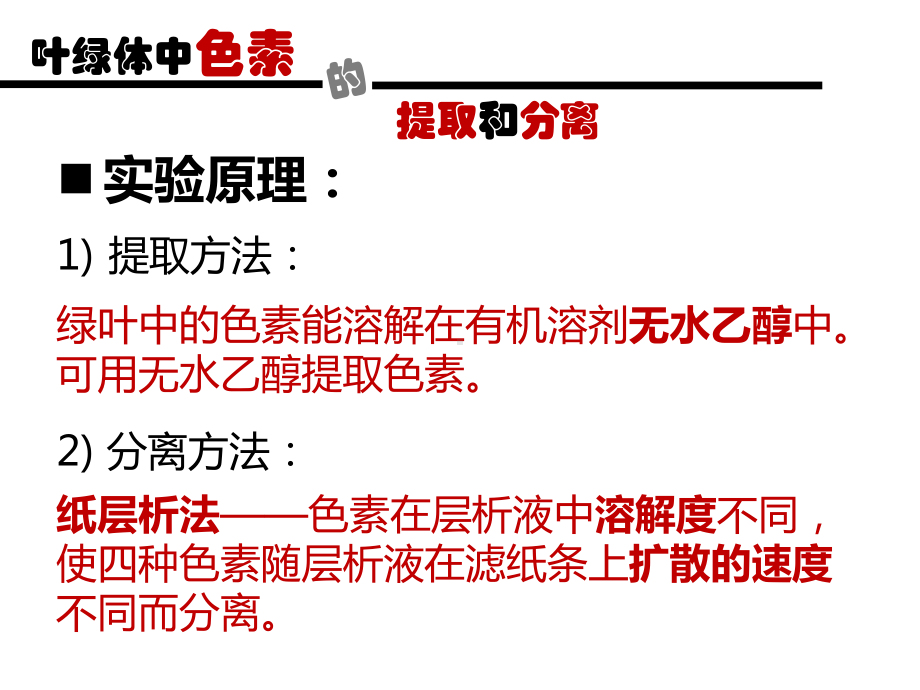 叶绿体中色素的提取与分离课件.pptx_第3页