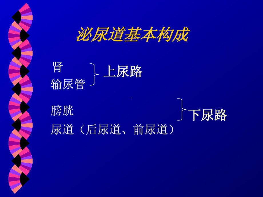 临床医学诊断学血尿课件.ppt_第3页