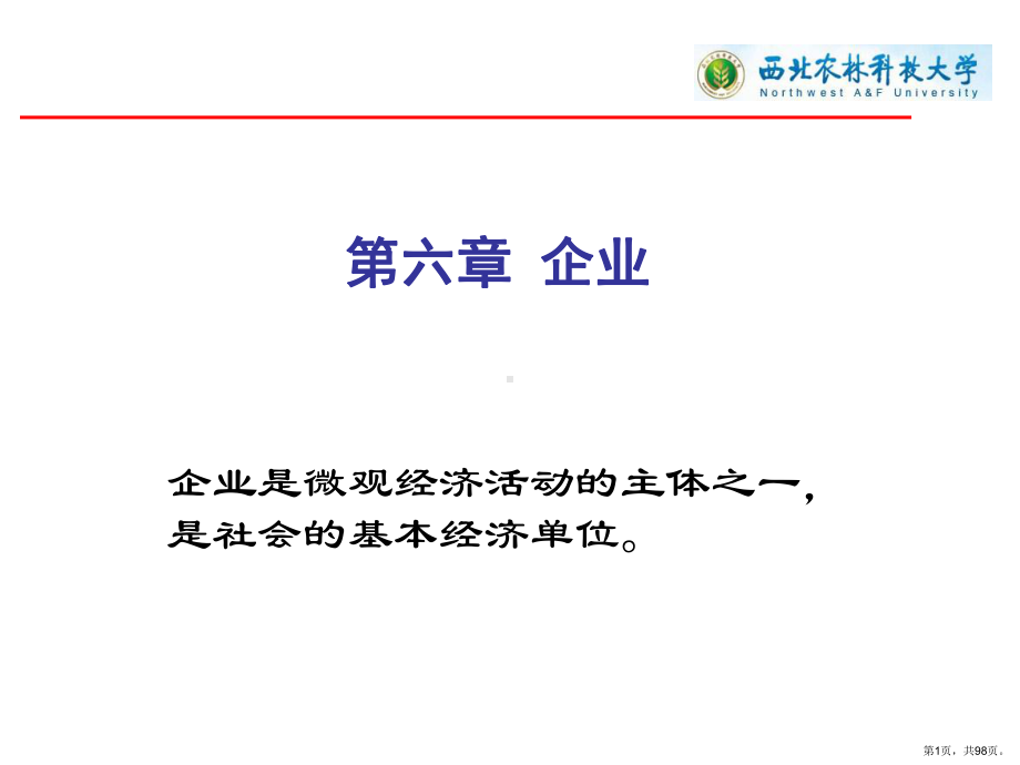 企业概述精选课件.ppt_第1页