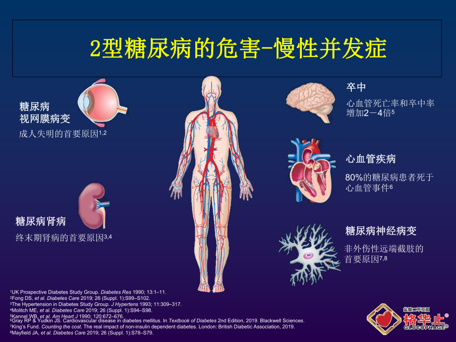 二甲双胍格华止型糖尿病的基础用药-PPT课件.ppt_第3页