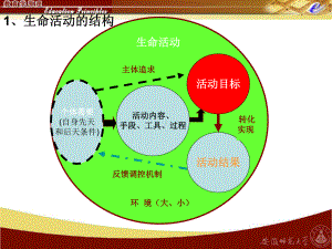 人生发展阶段与教育综述课件.ppt