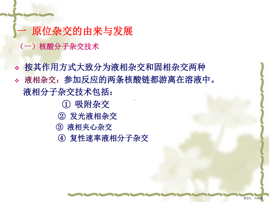 原位杂交组织化学全解课件.ppt_第3页