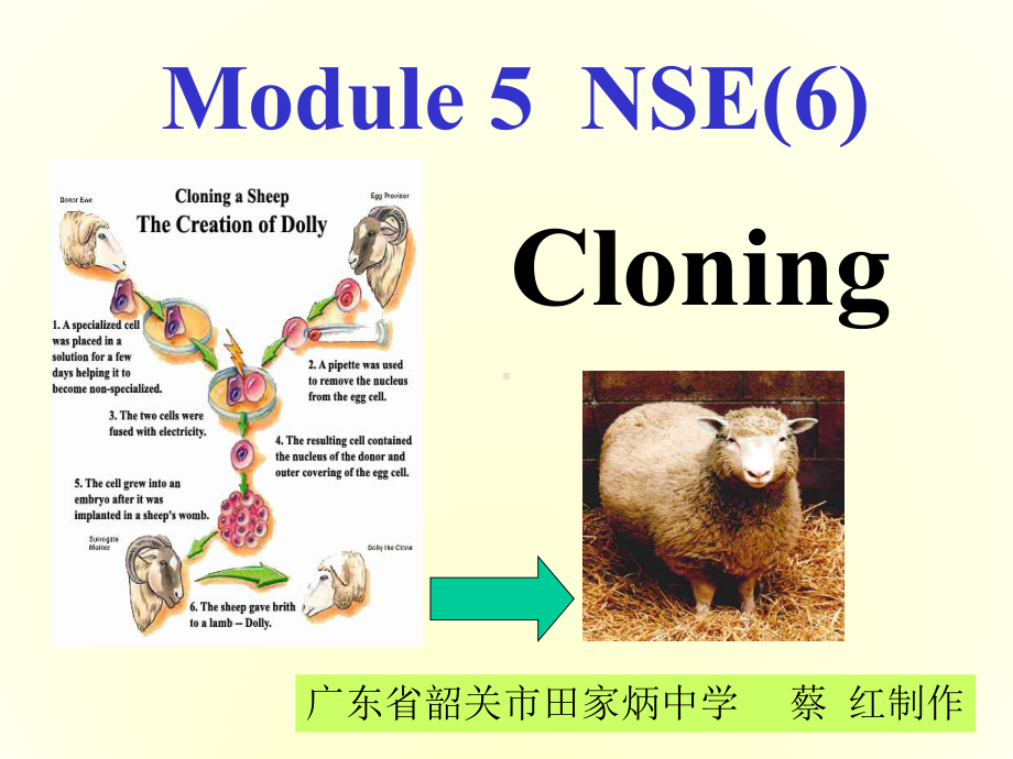 外研版英语必修6Module5Cloning课件.ppt_第1页