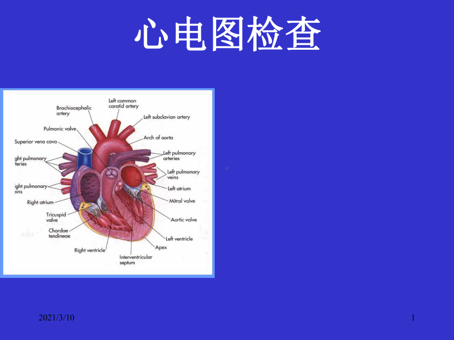 临床诊断学心电图学课件.ppt_第1页