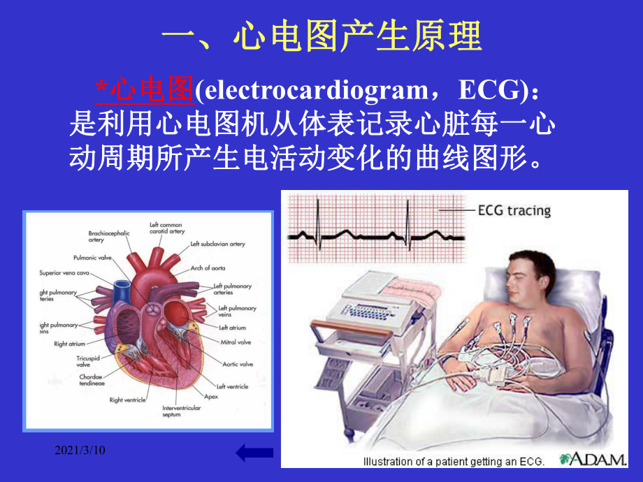 临床诊断学心电图学课件.ppt_第3页