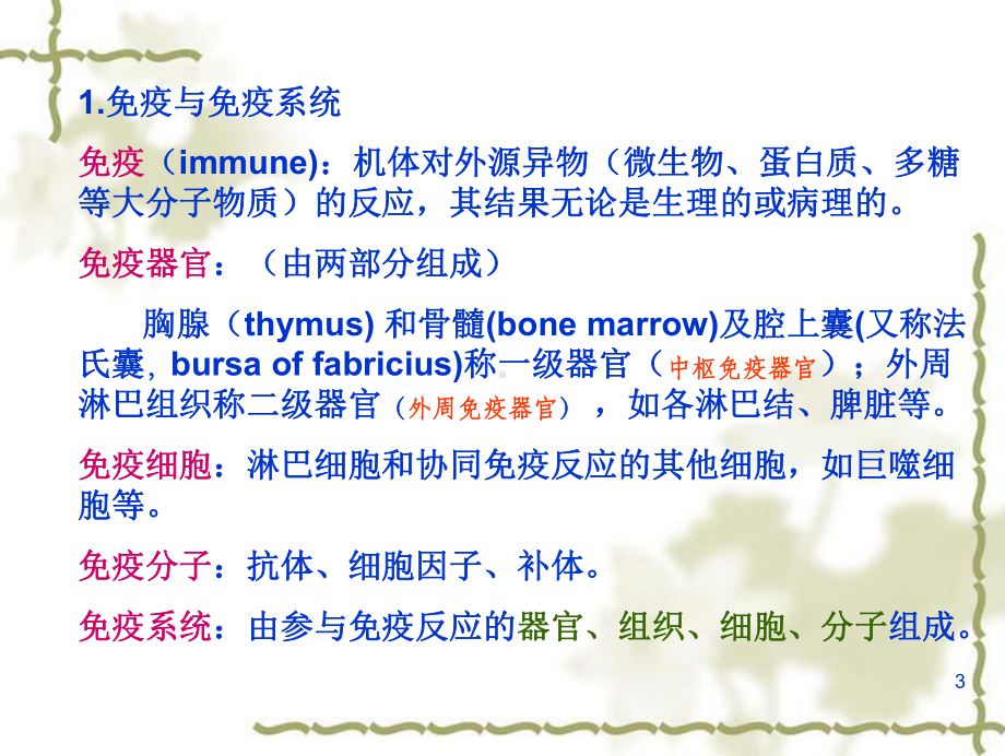 分子免疫学PPT课件.ppt_第3页