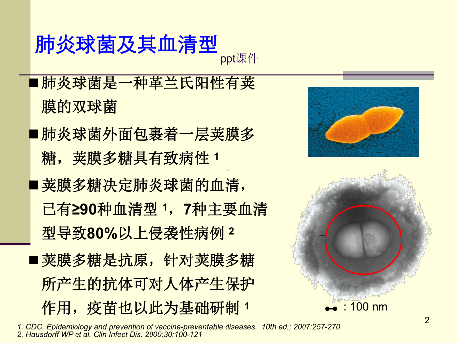 肺炎球菌流行病学及预防-ppt课件.ppt_第2页