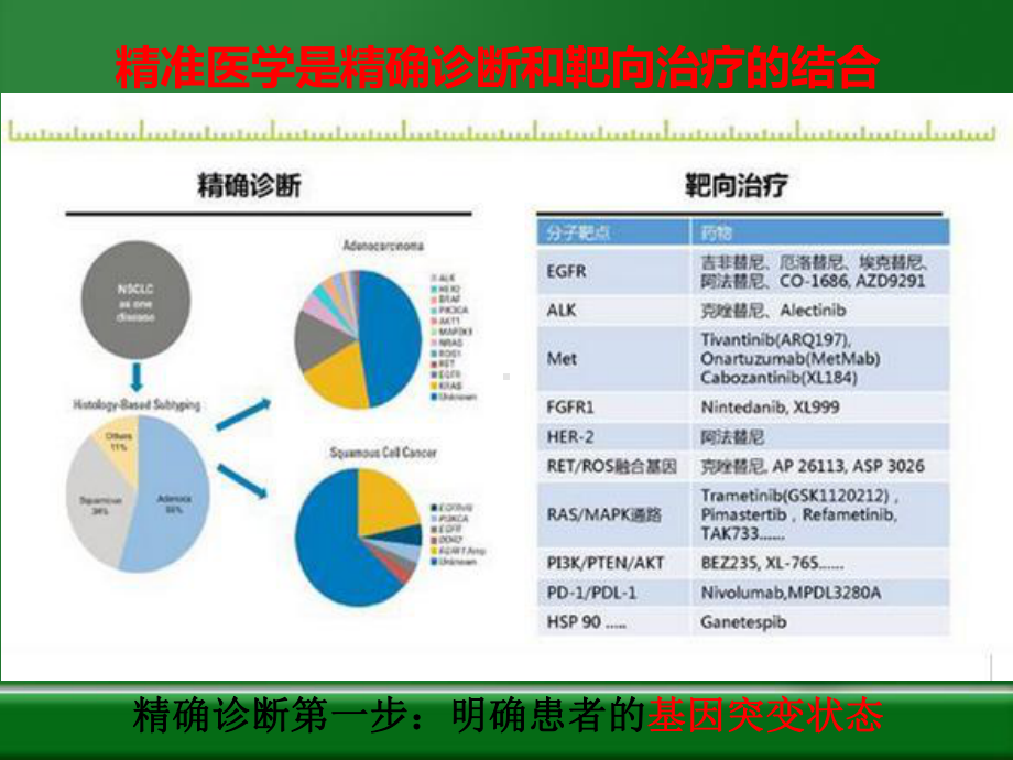 分子诊断与精准医疗课件.ppt_第3页