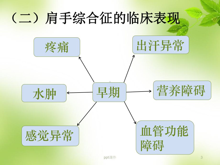 肩手综合征-ppt课件.ppt_第3页