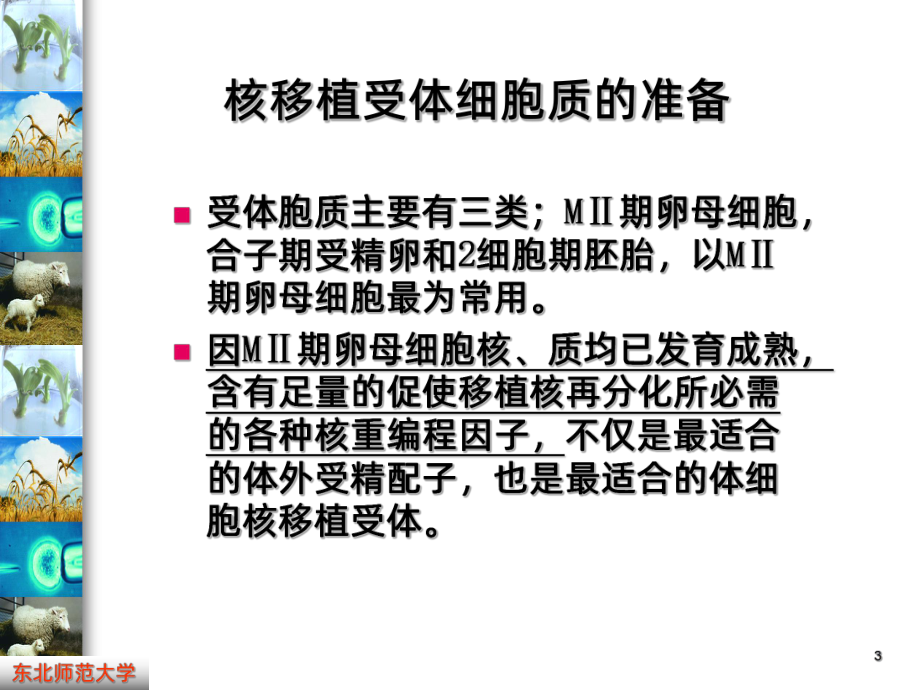 干细胞治疗PPT课件.ppt_第3页