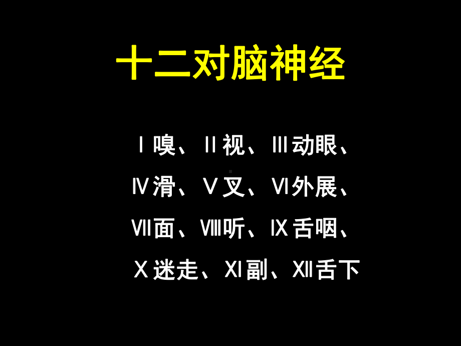 第2章NS解剖、生理、病损的定位诊断课件.ppt_第3页