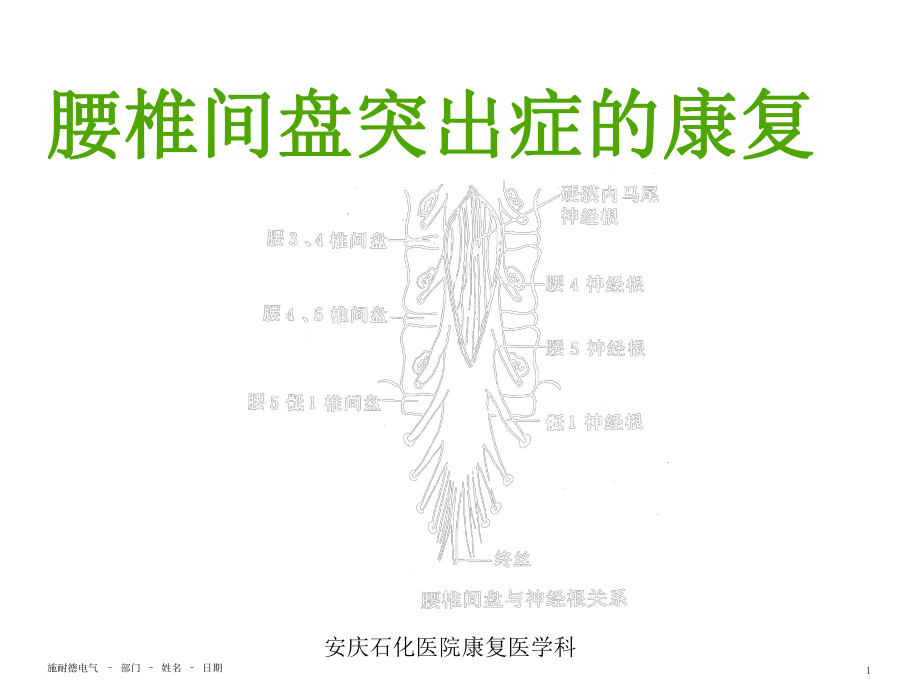 (康复医学科)腰椎间盘突出症的康复课件.ppt_第1页