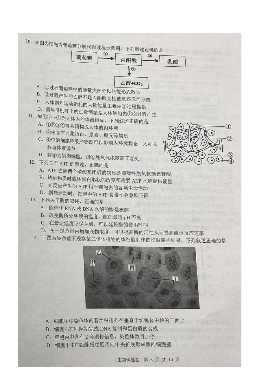 浙江省创新致远协作体2022届高三上学期适应性考试生物试卷.pdf_第3页