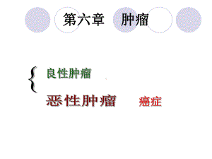 第6章--病理学-肿瘤课件.ppt