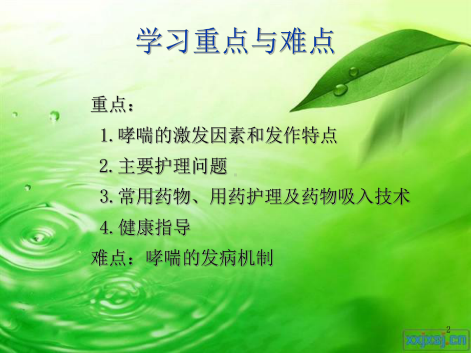 支气管哮喘病人的护理PPT课件.ppt_第2页