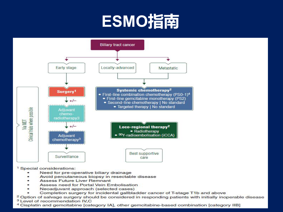 胆道癌的内科治疗课件.pptx_第2页