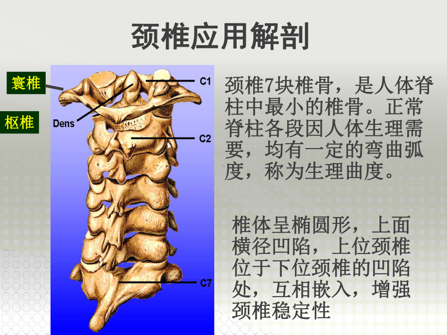 颈椎病诊疗及康复锻炼课件.ppt_第3页