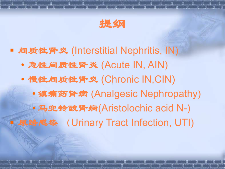 肾间质疾病PPT课件.ppt_第2页