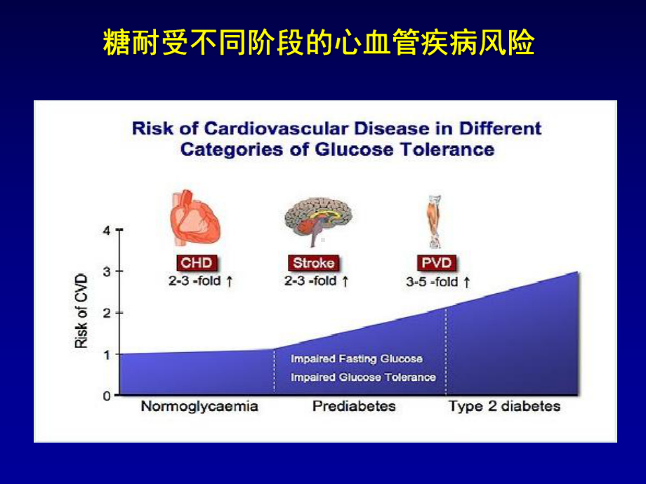 糖尿病大血管并发症PPT课件.ppt_第3页