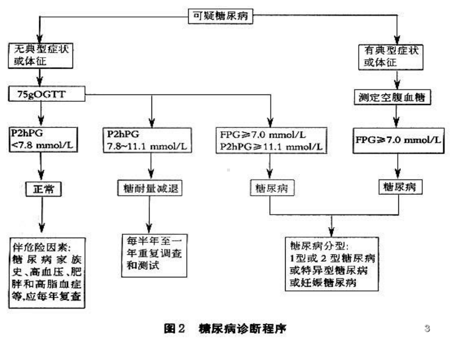 糖尿病的治疗与护理ppt课件.ppt_第3页