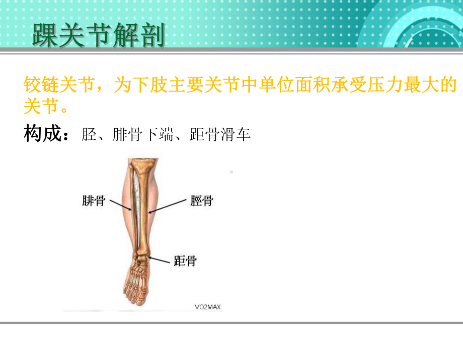 踝关节运动损伤-PPT课件.ppt_第3页